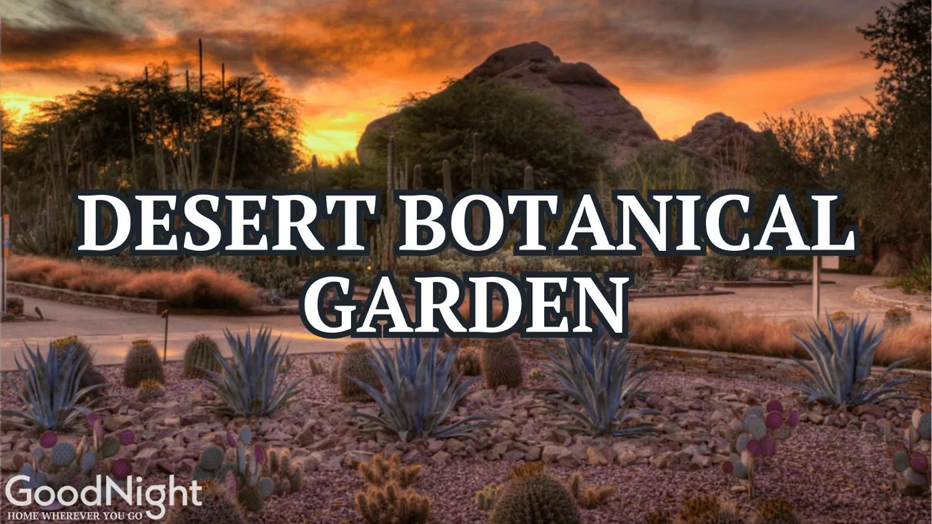 Games Galore - Old Town Scottsdale - Pool & Golf 0*,  米国